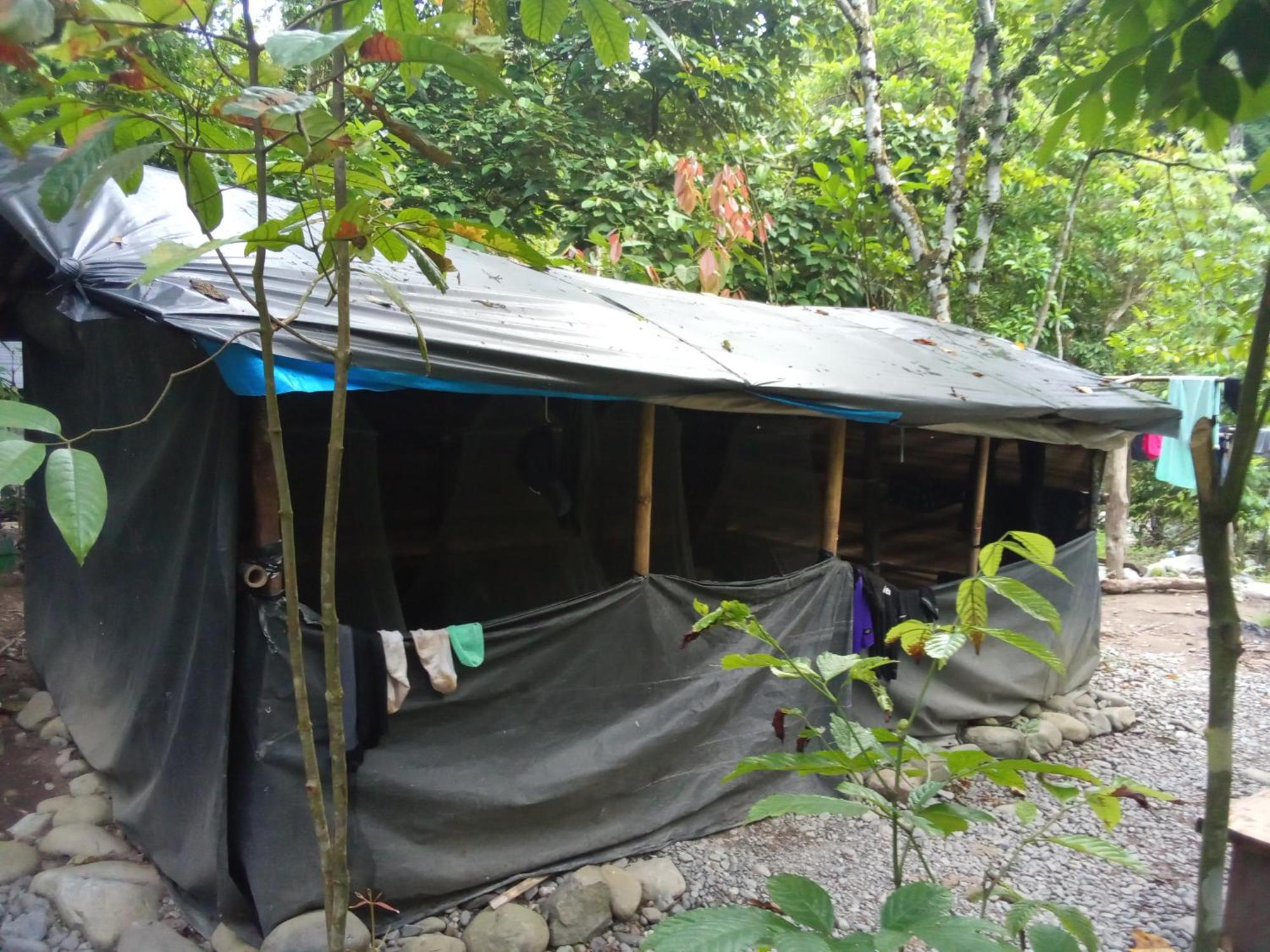 Jungle Treking & Jungle Tour If You Want To Stay Here,You Must Book Treking Only With Us 武吉拉旺 外观 照片