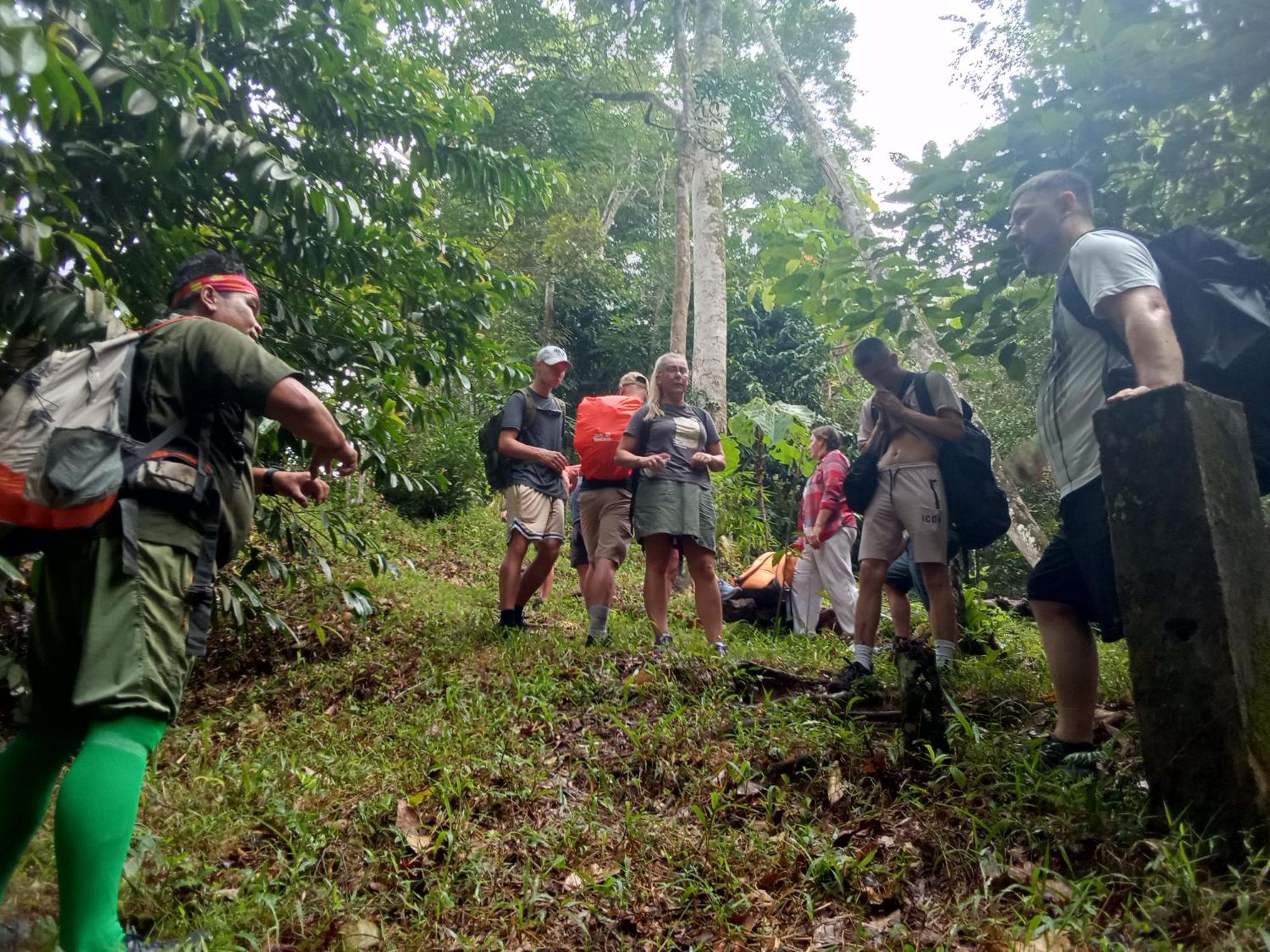 Jungle Treking & Jungle Tour If You Want To Stay Here,You Must Book Treking Only With Us 武吉拉旺 外观 照片