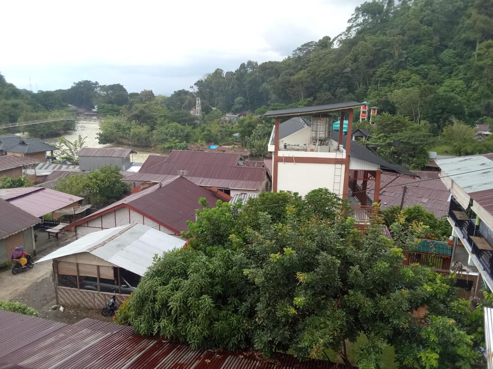 Jungle Treking & Jungle Tour If You Want To Stay Here,You Must Book Treking Only With Us 武吉拉旺 外观 照片